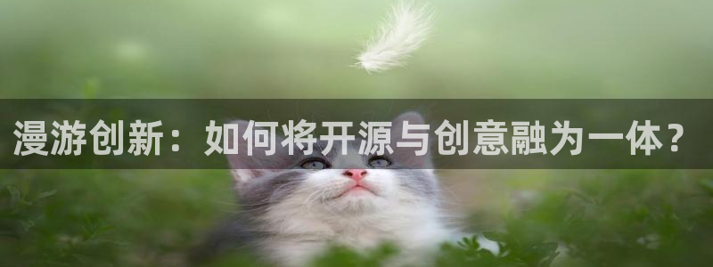 韩国歪歪漫画大全：漫游创新：如何将开源与创意融为一体？