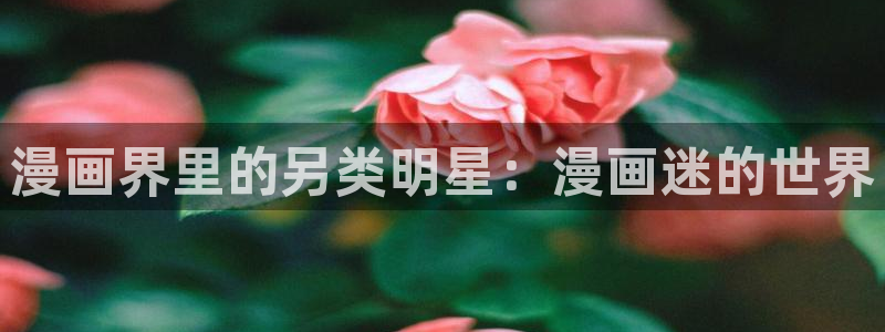 二次元歪歪漫画：漫画界里的另类明星：漫画迷的世界